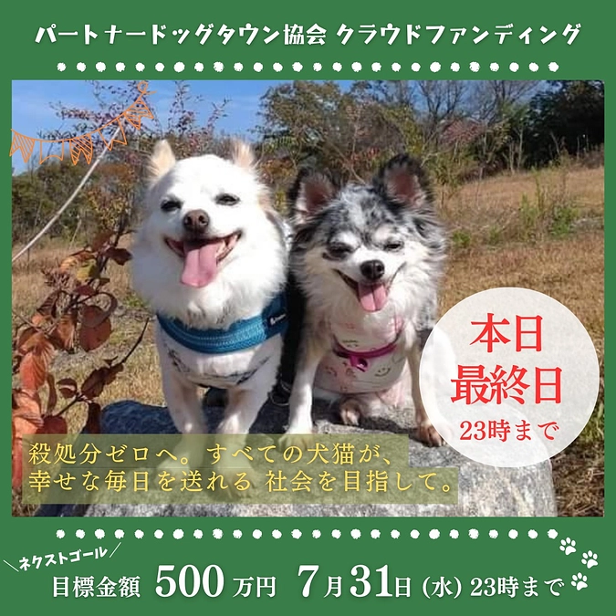 ＼ラストスパート／泣いても笑っても残り約3時間！！