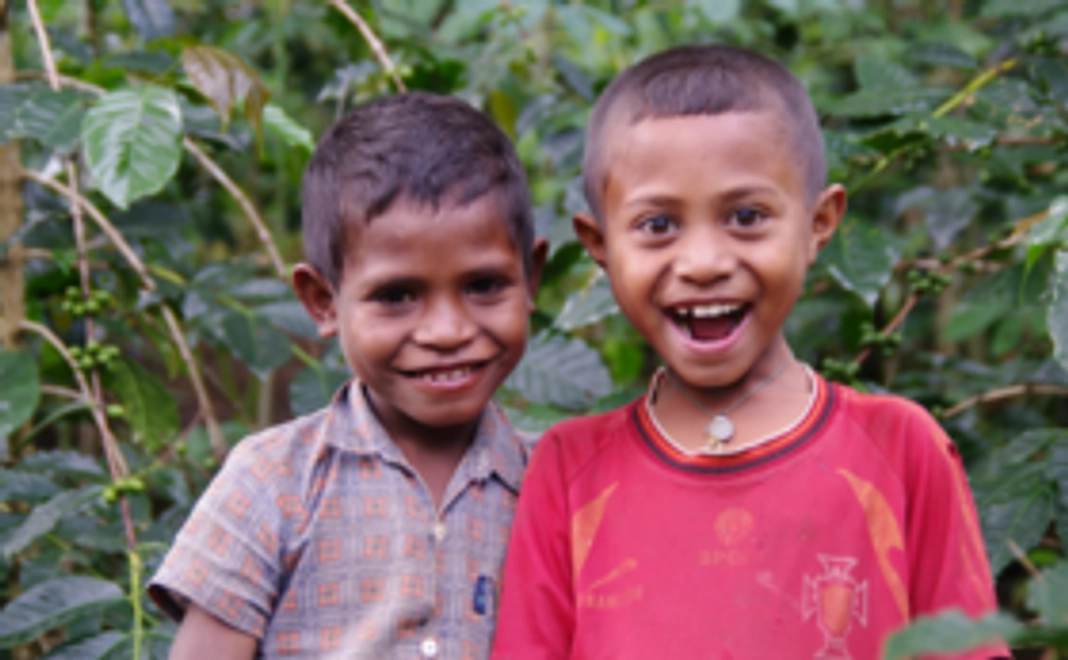 [税制優遇あり]【東ティモールコーヒーの未来を応援コース】