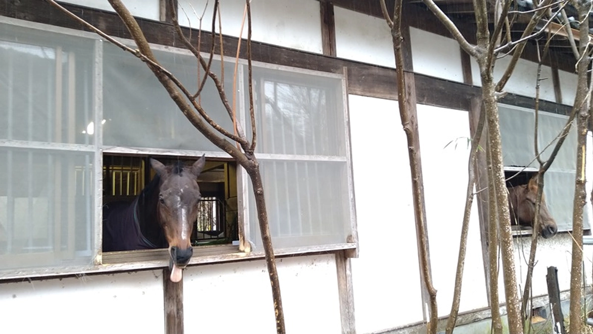 【終了まであと12時間！最終ゴールまであと60万円！】雨の日だからこそ分かること