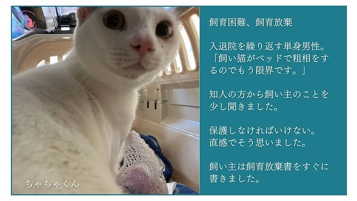 助成金のない東京都あきる野市で地域猫活動を諦めたくない 5枚目