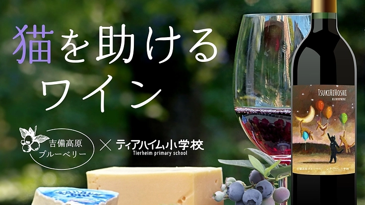 保護猫たちに未来を！ワインをリターンに保護猫施設をご支援ください！