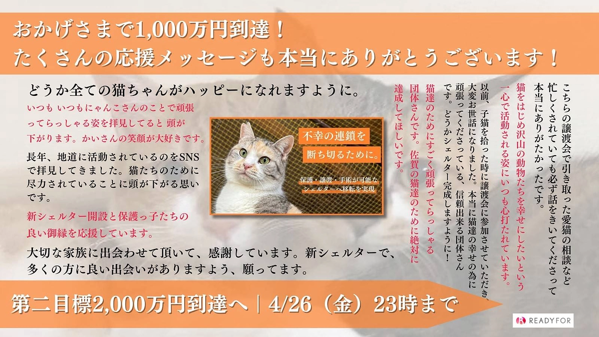【1,000万円達成！！！】私たちは更なる挑戦を続けます！～猫たちのよりよい未来に向けて～