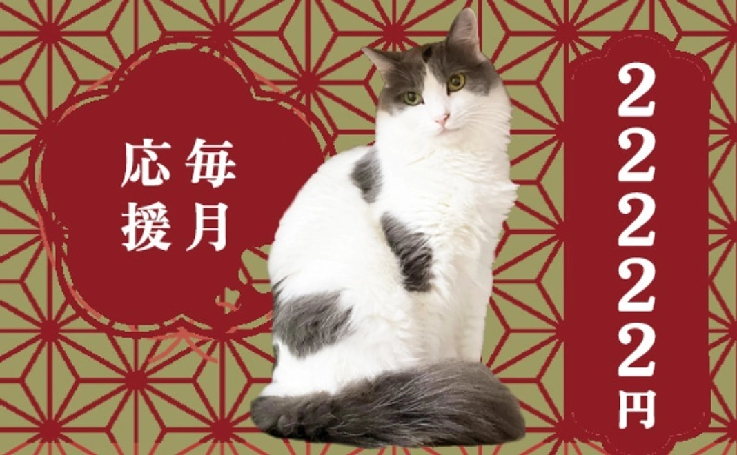 毎月応援にゃんにゃんにゃんコース