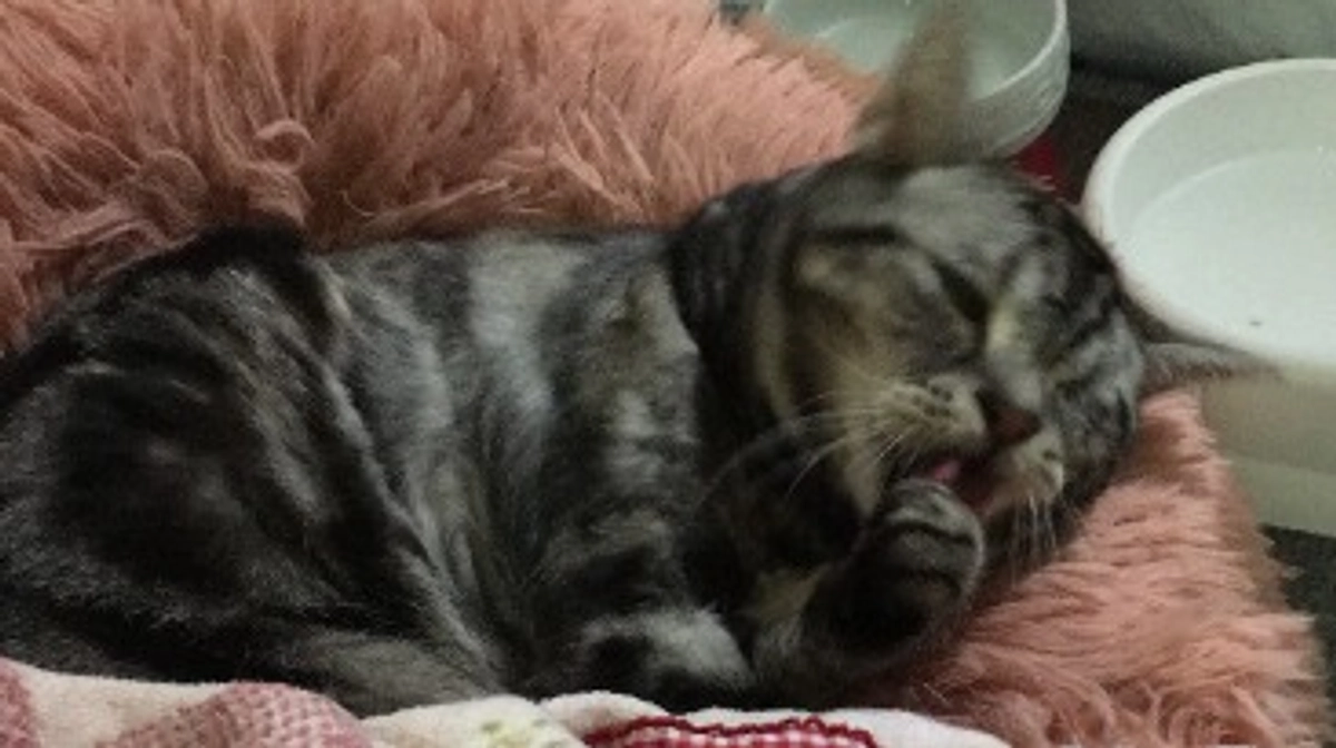 残り10分切りました。