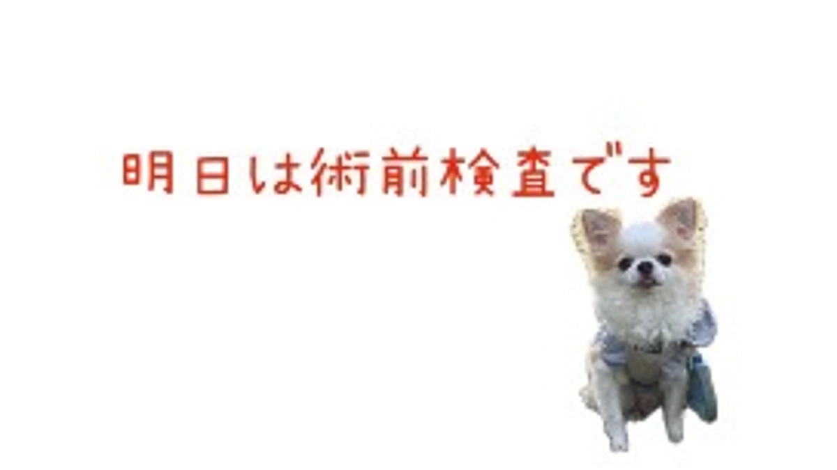 【クラファン終了まであと５日】明日は術前検査です