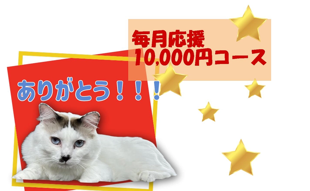 毎月応援　10,000円コース