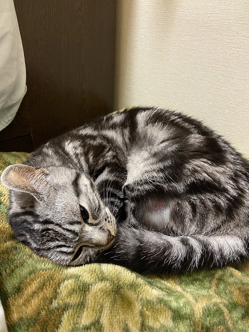 2023.6.6🔥 #闘病生活　49日目🔥