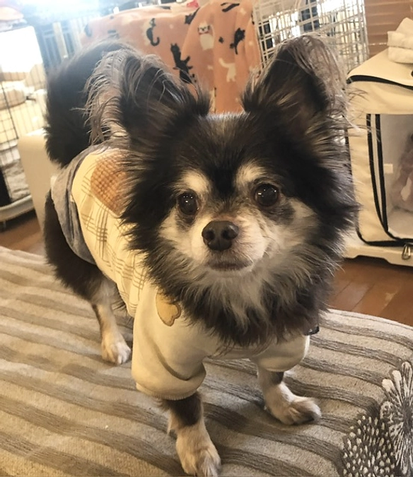 【2月18日】心臓外科センターに入院しました🏥