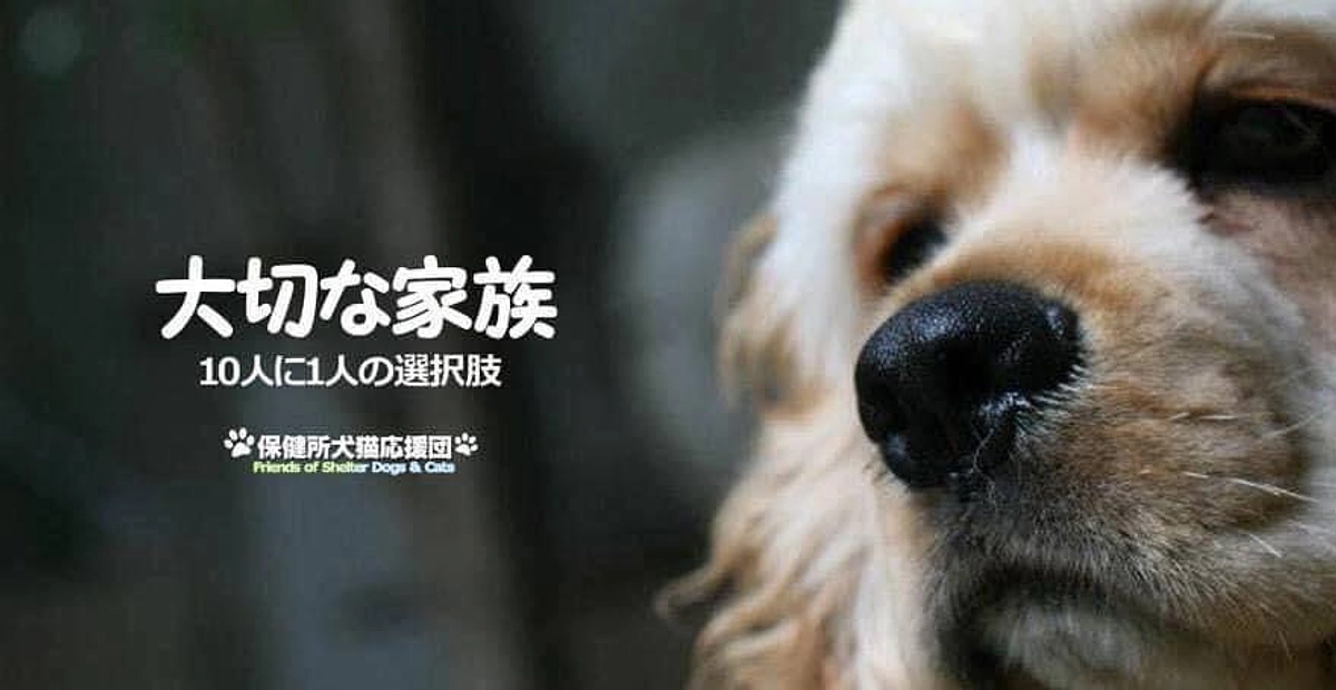 大切な家族、しかし、自分だけでは守れない時も