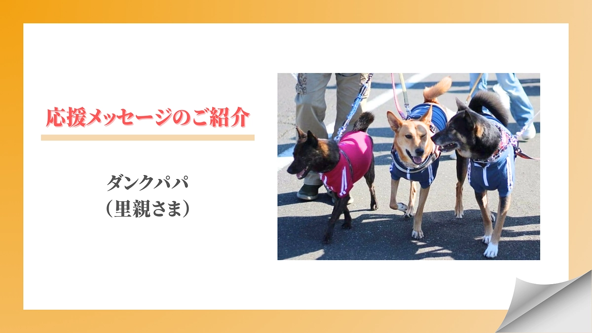 【メッセージリレー#10】ダンクパパ（里親さま）