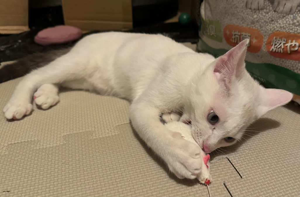 ほんの少し食欲回復