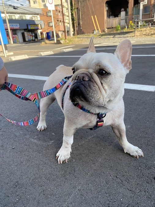 最後に今一度ご支援をお願いします。