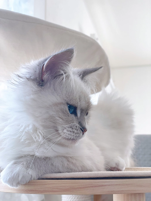 【ラストスパート】