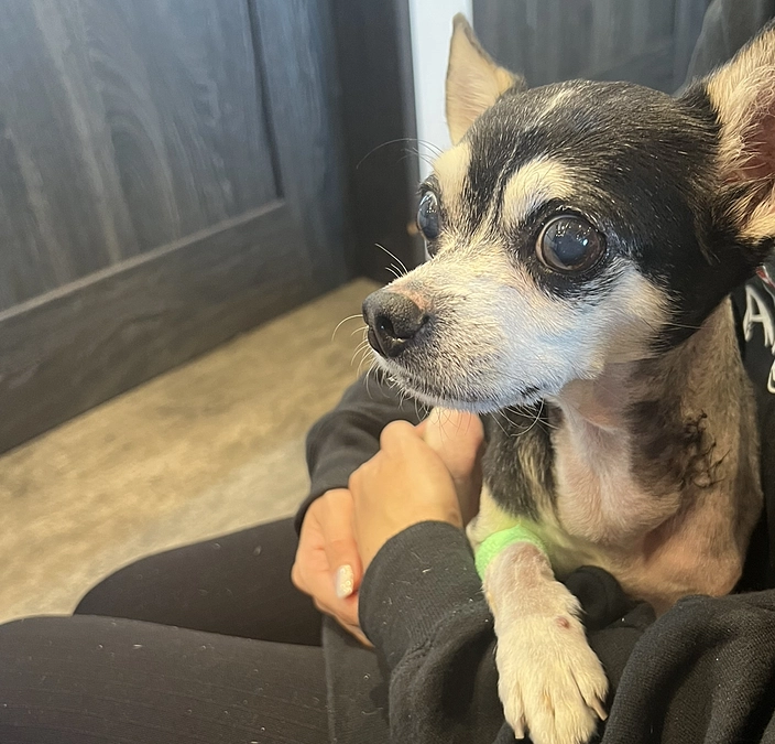 🫀術後5日目🫀