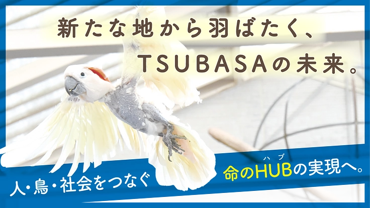 TSUBASA｜次の空へ羽ばたく居場所。新拠点への移転にご支援を！