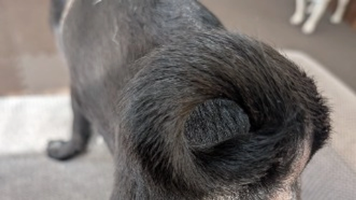 今週も受診あります🏥