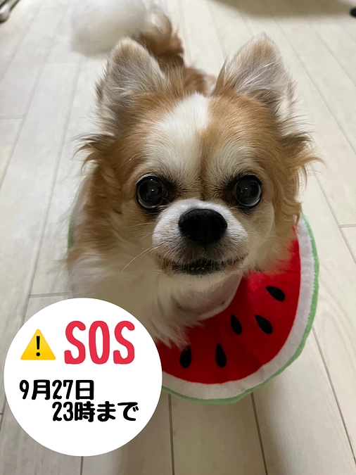 9月7日  現状報告