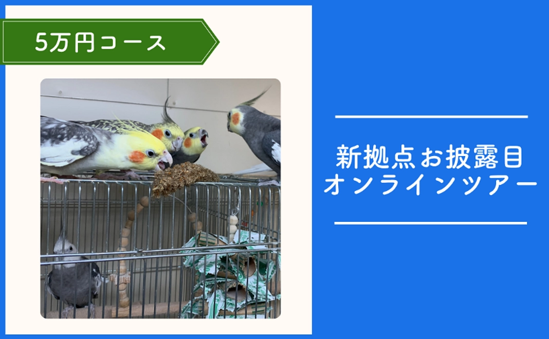 TSUBASA応援コース｜5万円