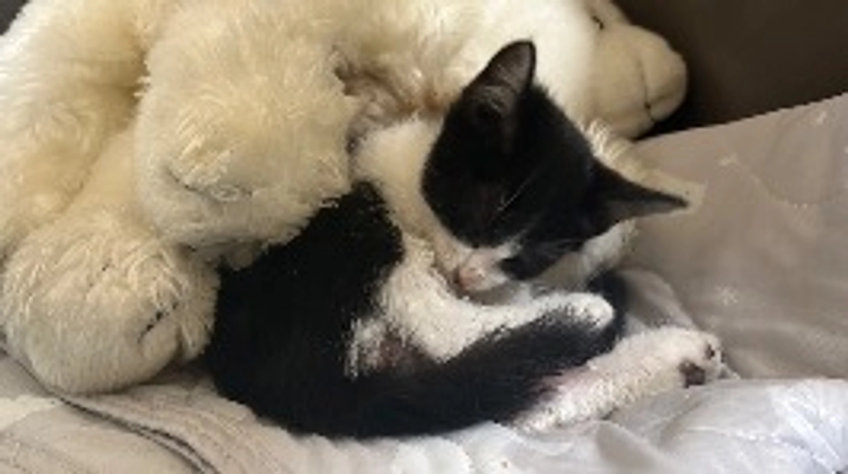 リターン進捗のご報告③