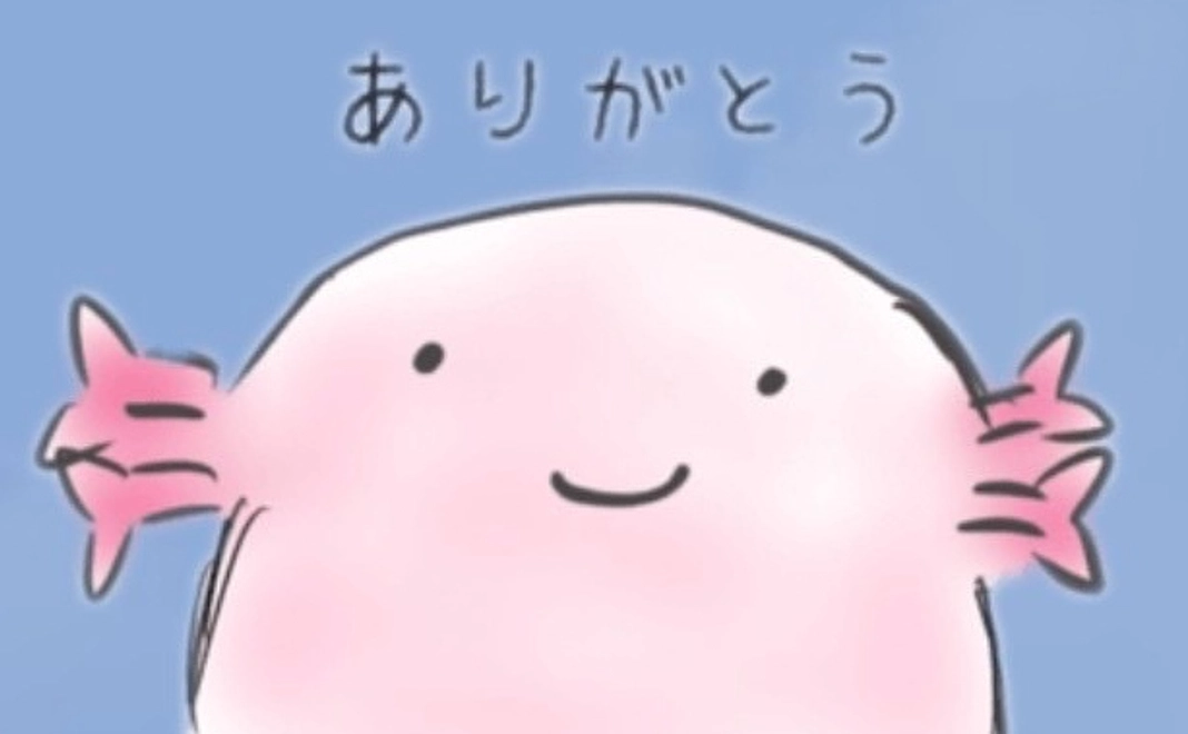 ちょこっと応援ありがとうプラン