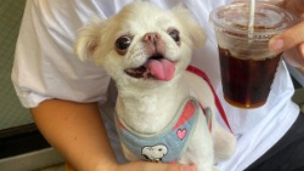 残り30日✊🏼‼️