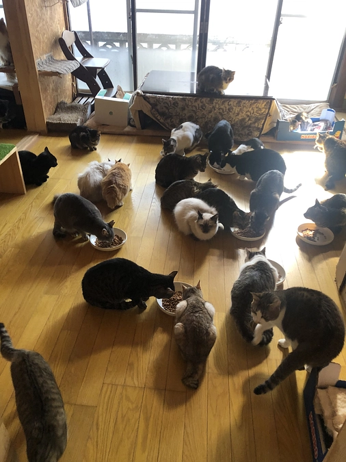 今年も宜しくお願いします🙇‍♀️