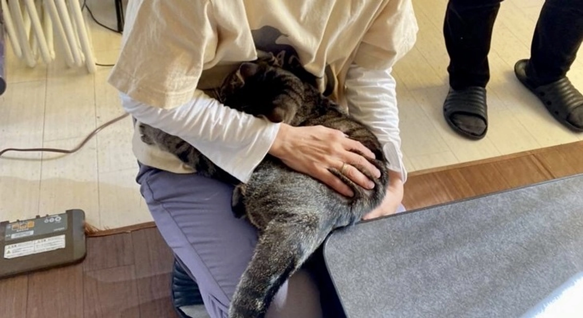 ボランティア リレー⑳