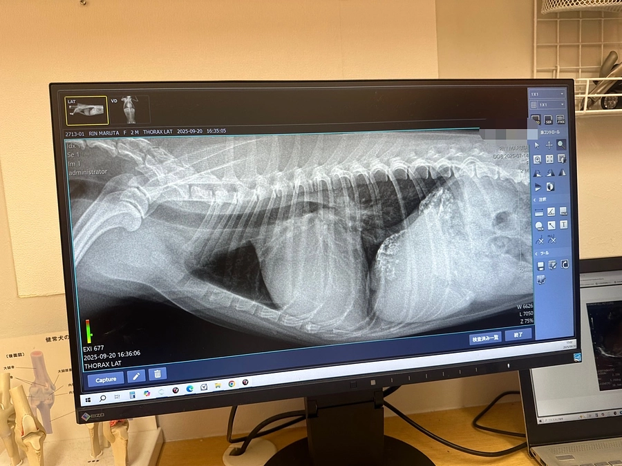定期検診に行ってきました。