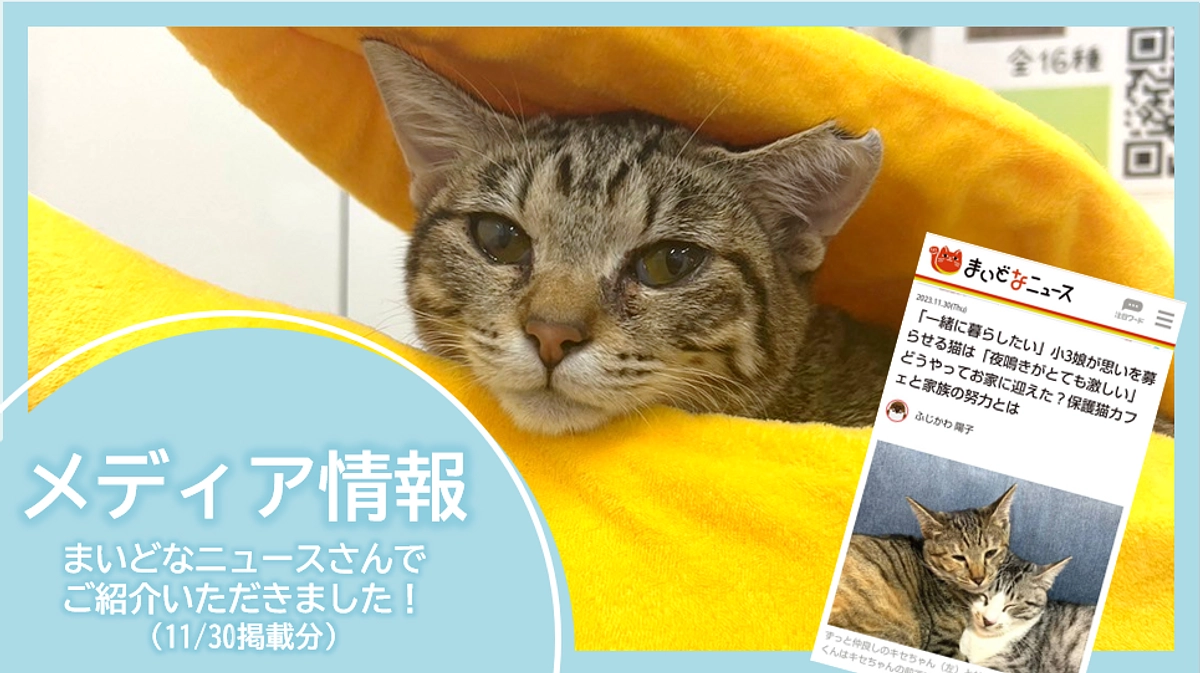 メディア情報｜まいどなニュースさんに取材いただきました！(11/30掲載分)