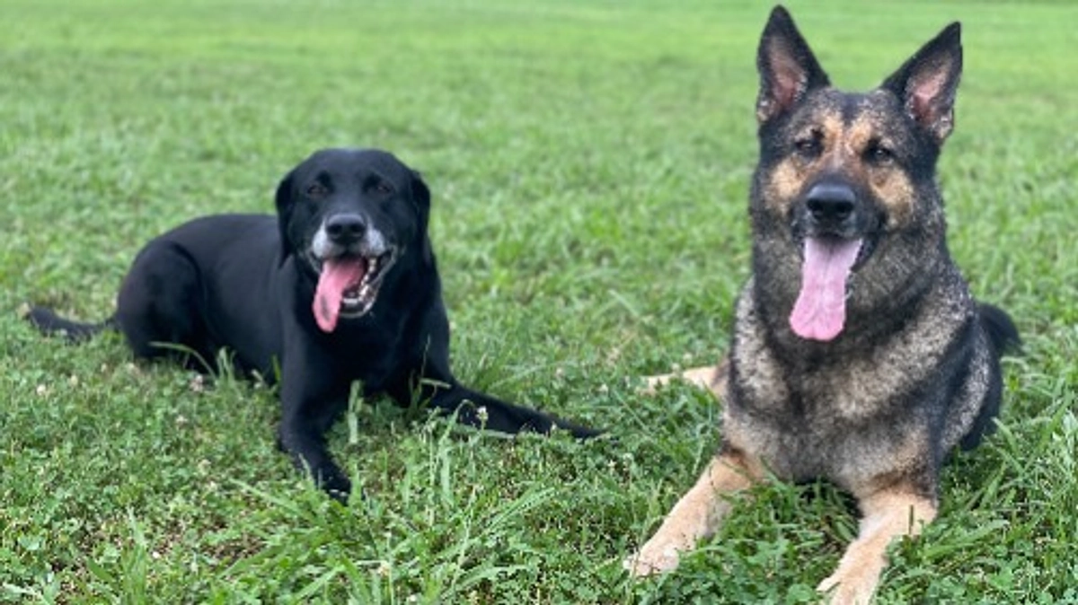 2025年今年もよろしくお願いします。