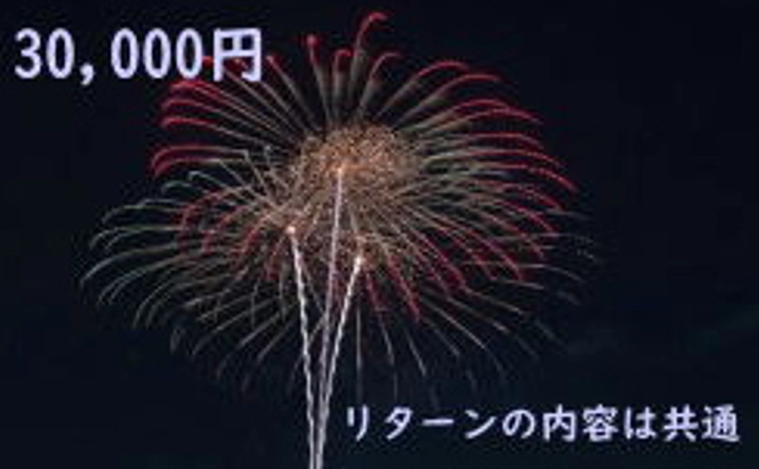 30,000円 +システム利用料(220円)
