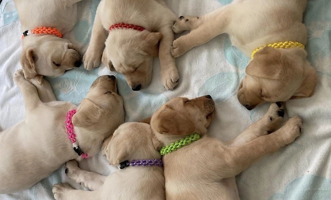 クラウドファンディング終了まであと１日！！