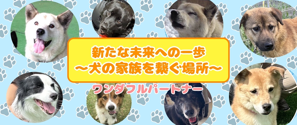 クラウドファンディング7日目