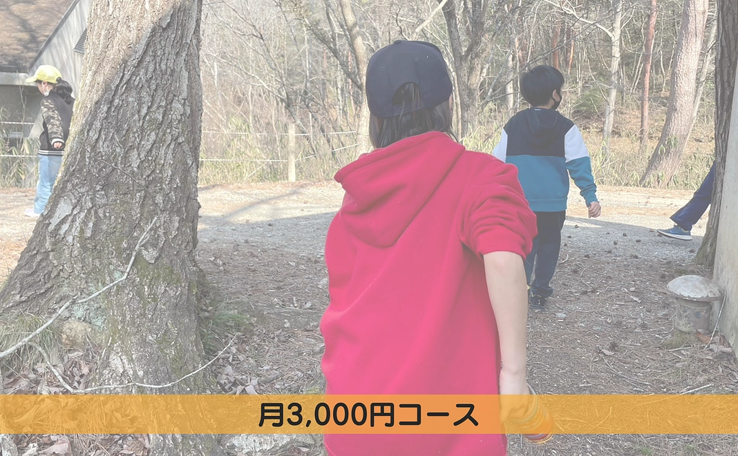 月3,000円コース