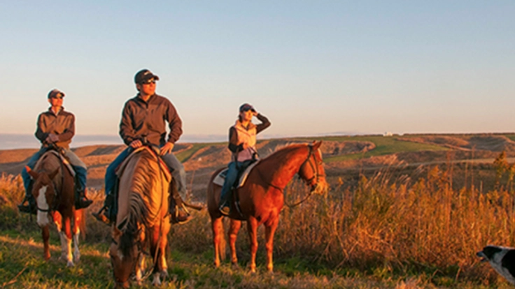 美しい阿蘇で非日常の乗馬体験の出来るエルパティオ牧場の復興へ