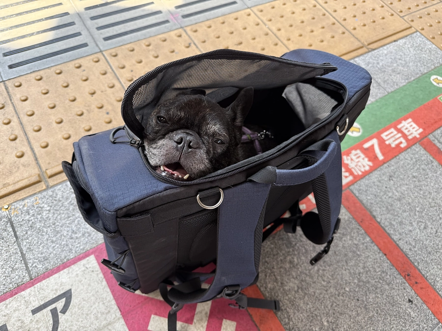 後半戦に入りました