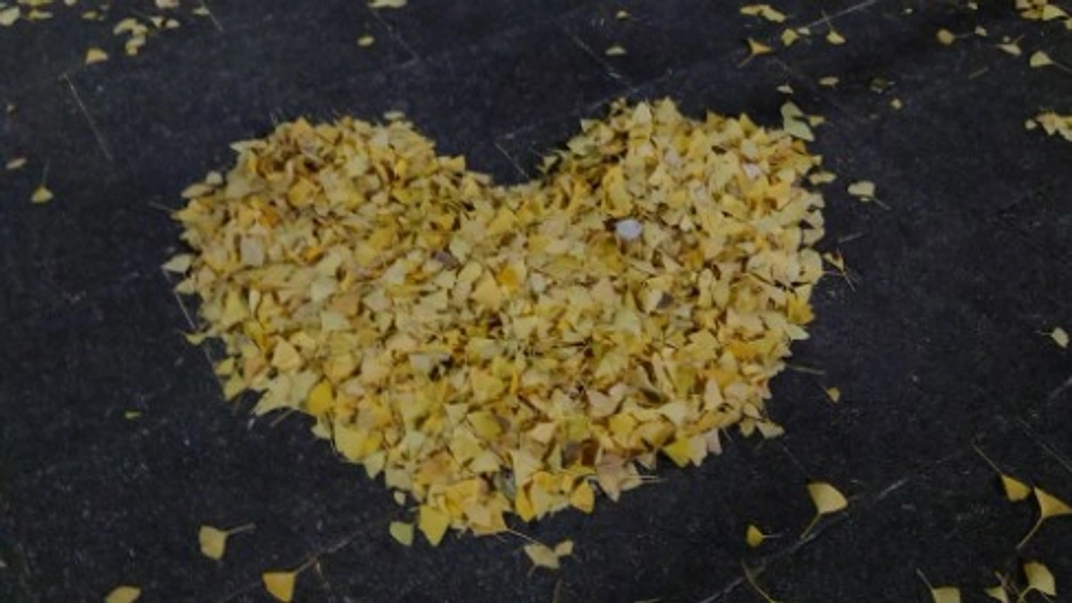 無事、成立。本格始動へ