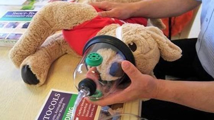 元レスキュー隊員から学ぶペットセーバープログラム講習会を開催