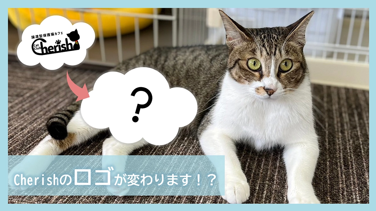 Cherishのロゴが変わります！？