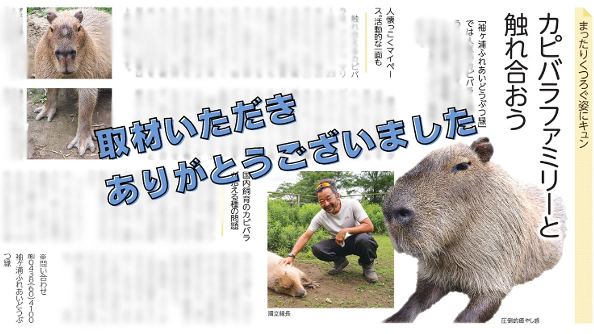 【訂正】相模経済新聞社様と、株式会社地域新聞社様より取材を受けました！