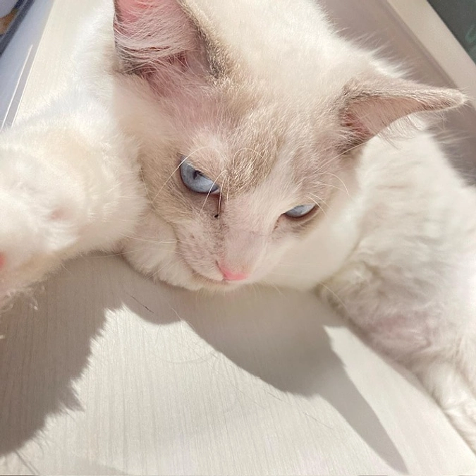 リターン進捗状況・新着状況の更新について