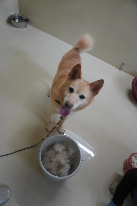 ７月１１日午前１０時START❗