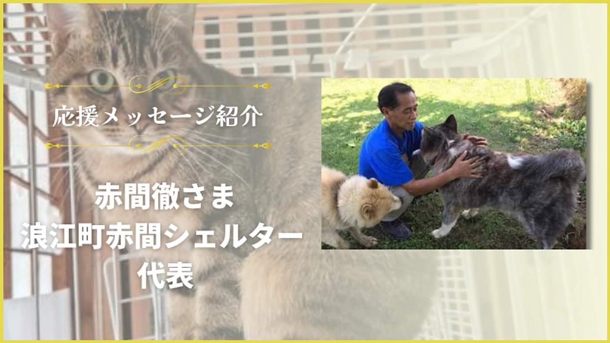 応援メッセージのご紹介【浪江町赤間シェルター代表の赤間徹さま】