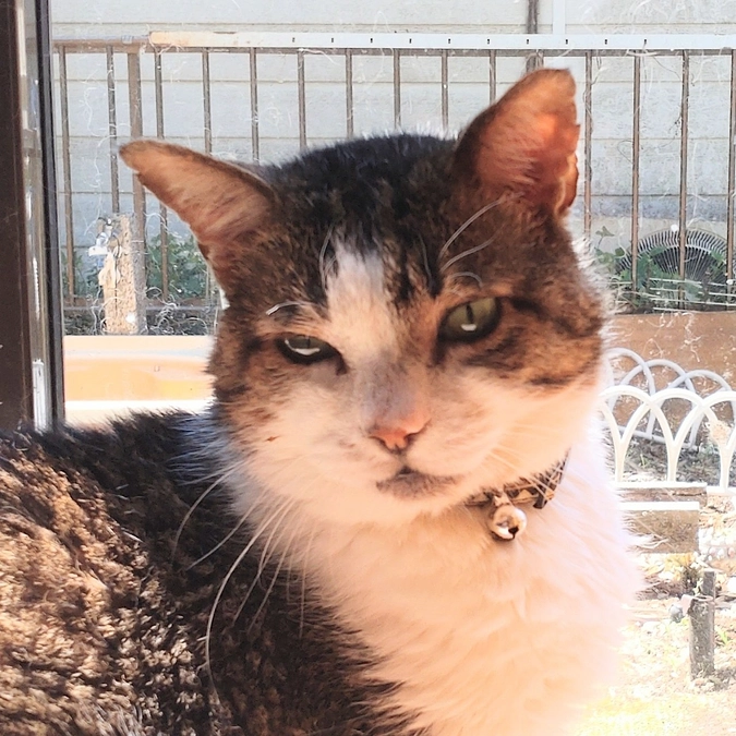 四十九日………