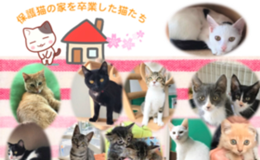 【わんにゃん感謝祭 ペアでご招待】