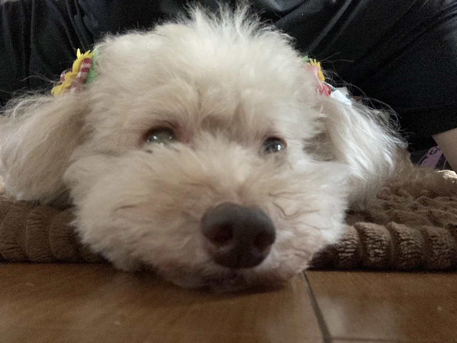 7/13のありがとうございます！