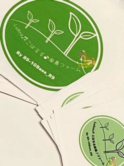 発送開始しました‼️