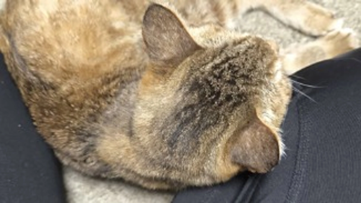 病院から帰りました。