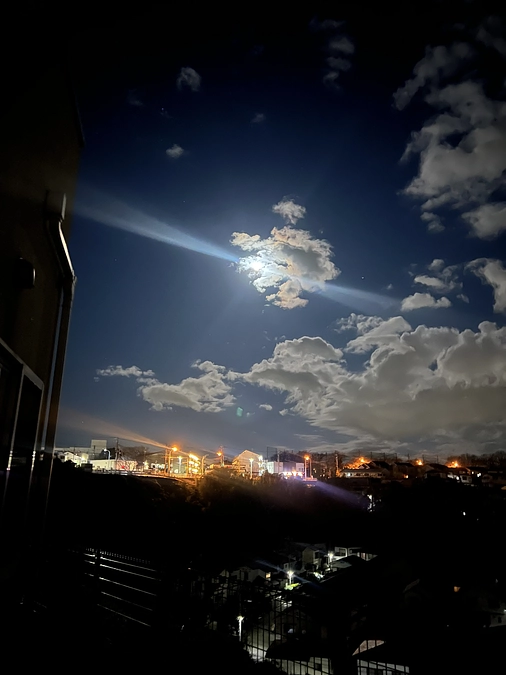 ビッケと共に歩む、希望の道