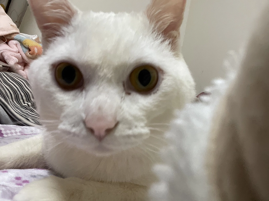 応援宜しくお願いします🙏